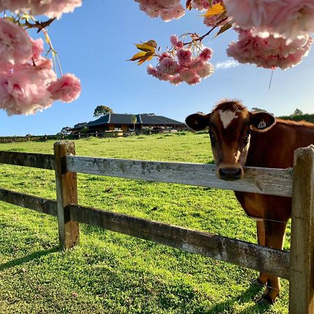 Heaven'S Rest B&B Pukekohe Екстериор снимка